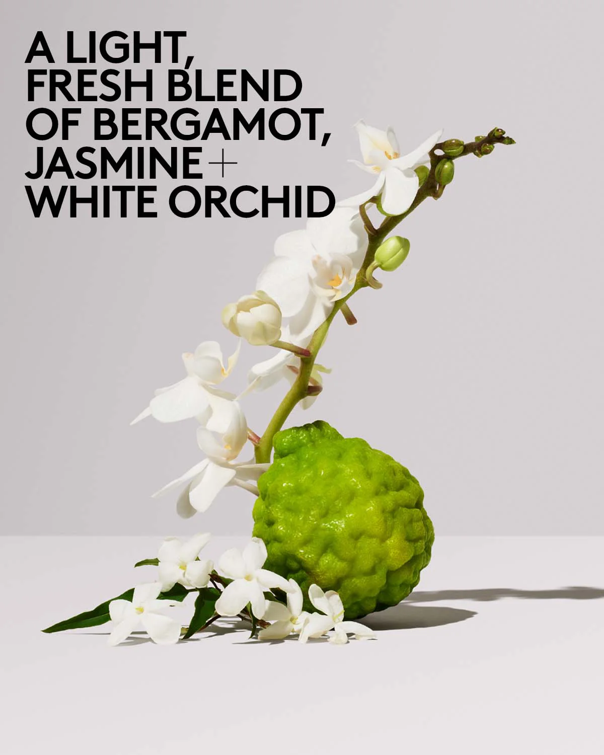 Butta Drop Hydrating Body Milk — Salted Caramel - Image 7