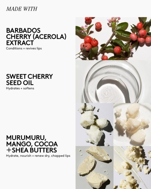 FS551601 GLOBAL LUX BALM INFOGRAPHICS 1200X1500 INGREDIENTS